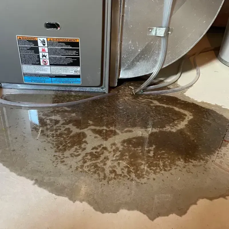 Appliance Leak Cleanup in Gardere, LA